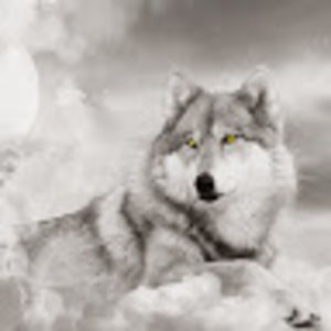 Meet your Posher, Alice